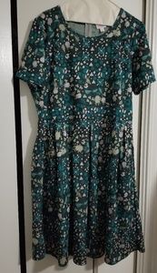 NWOT LuLaRoe Amelia dress